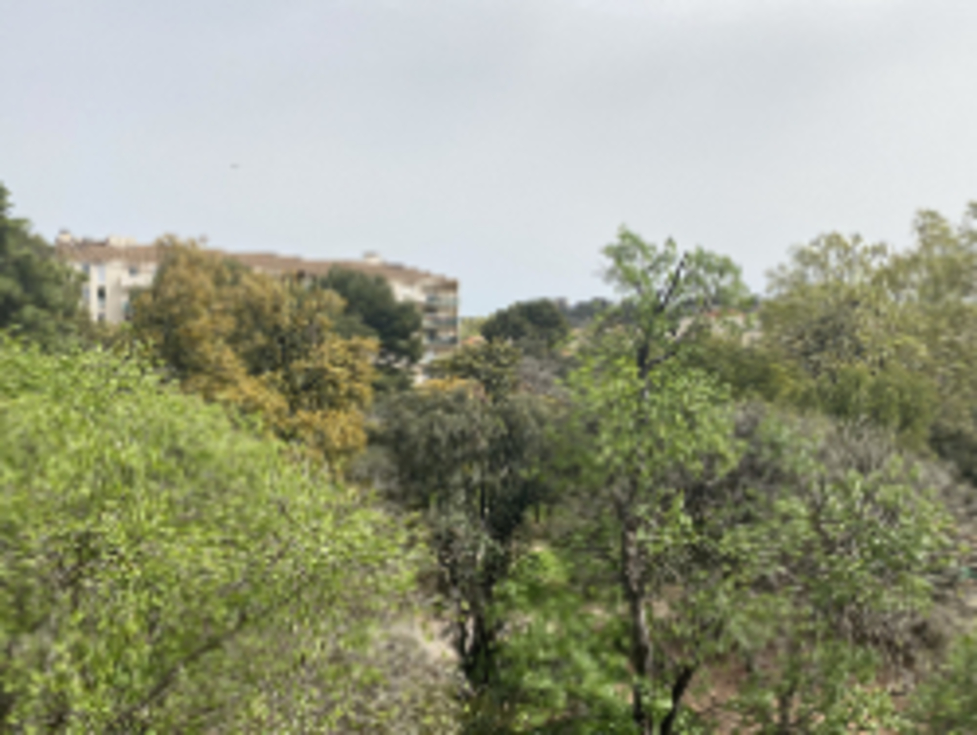 Appartement - Toulon